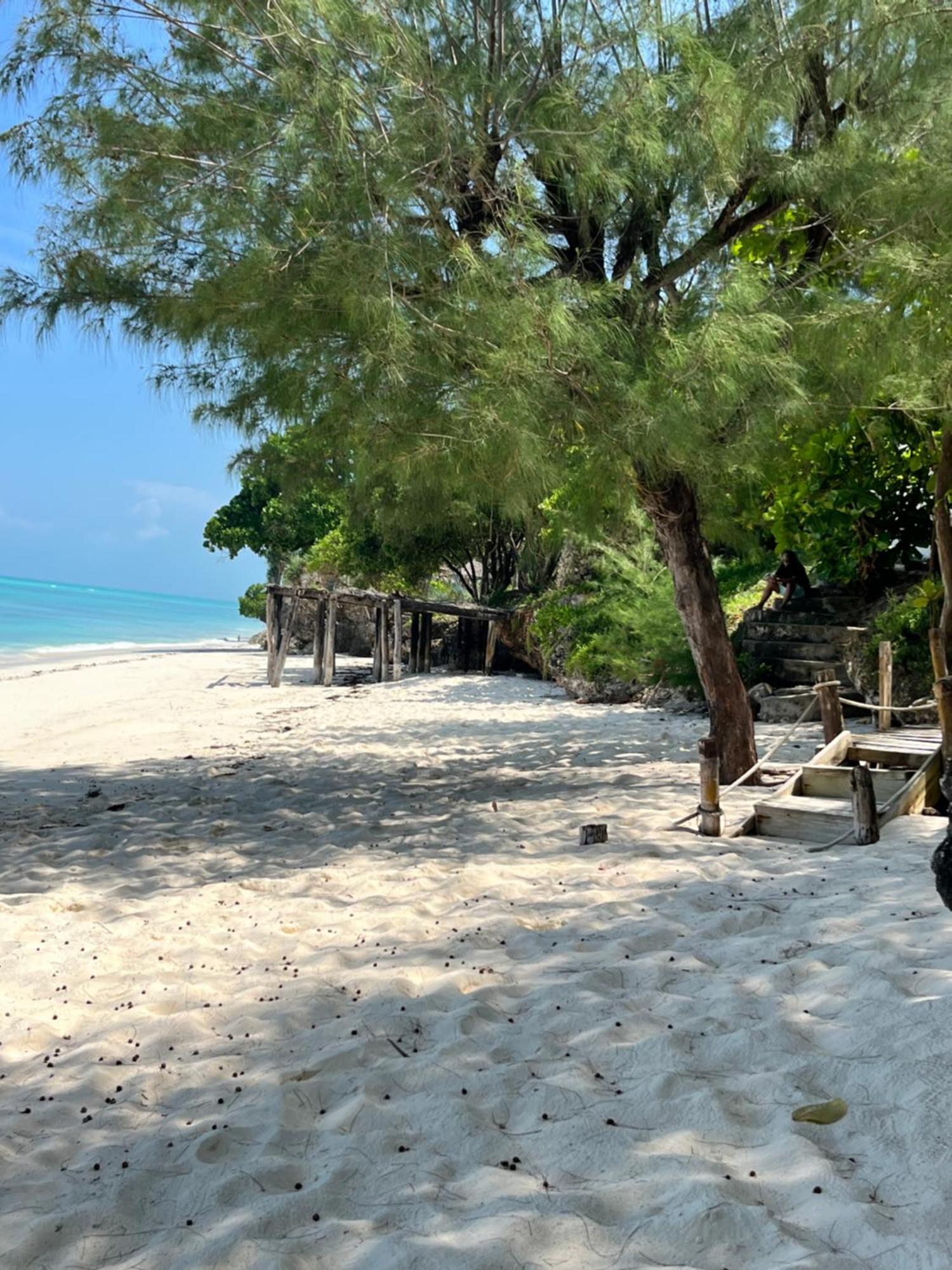 Sazani Beach Lodge And Tidal Lounge Nungwi Exteriör bild