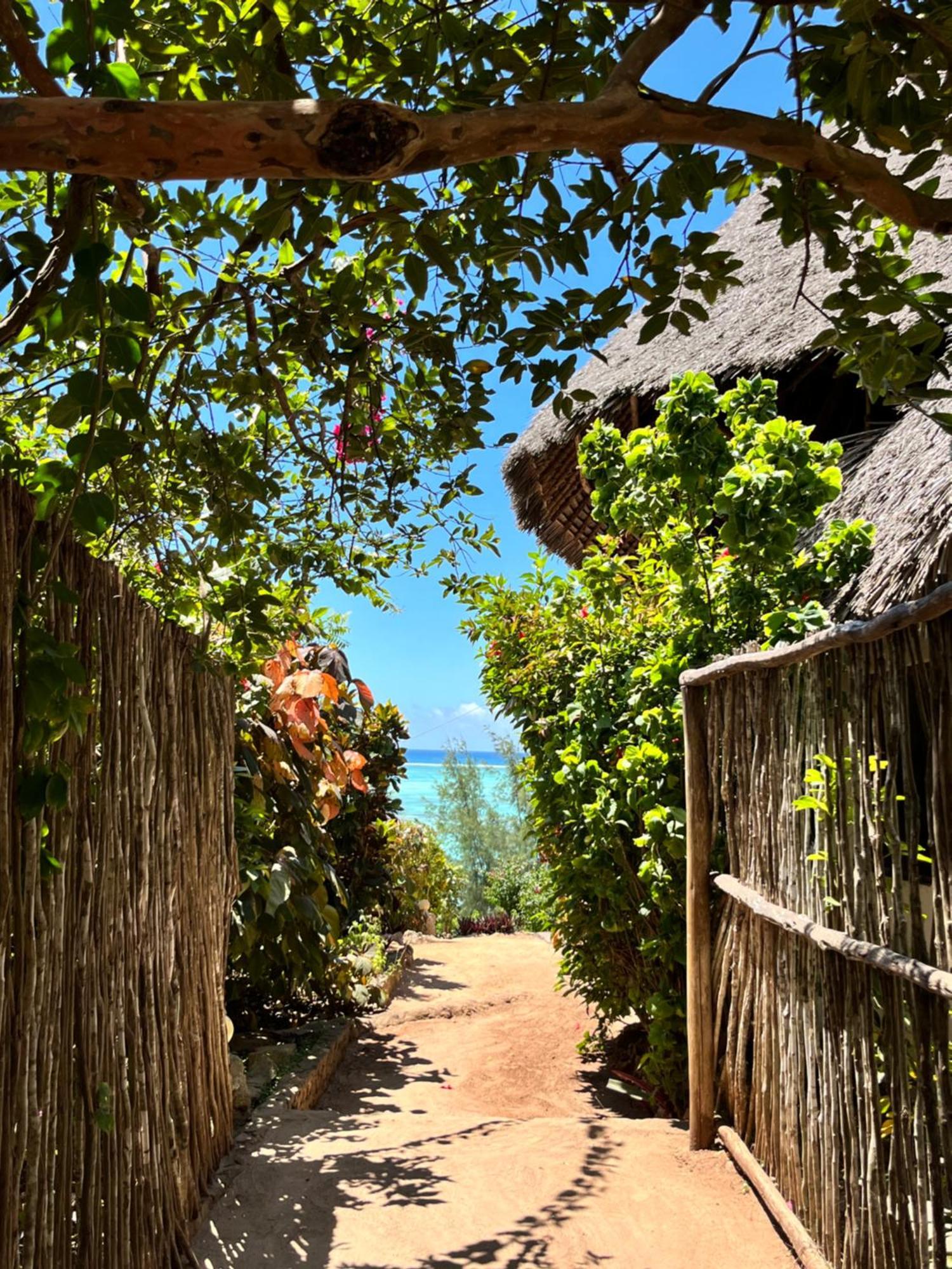 Sazani Beach Lodge And Tidal Lounge Nungwi Exteriör bild