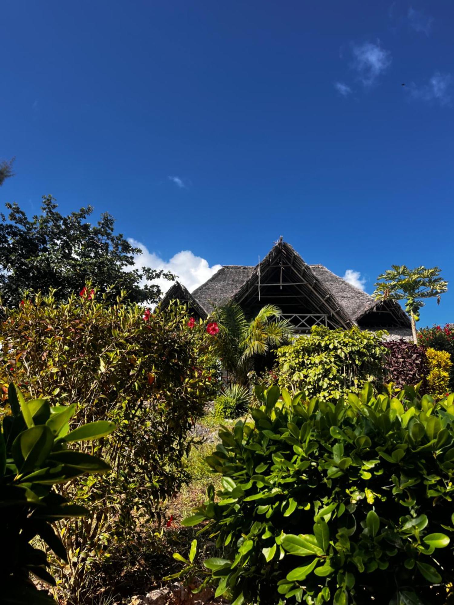 Sazani Beach Lodge And Tidal Lounge Nungwi Exteriör bild