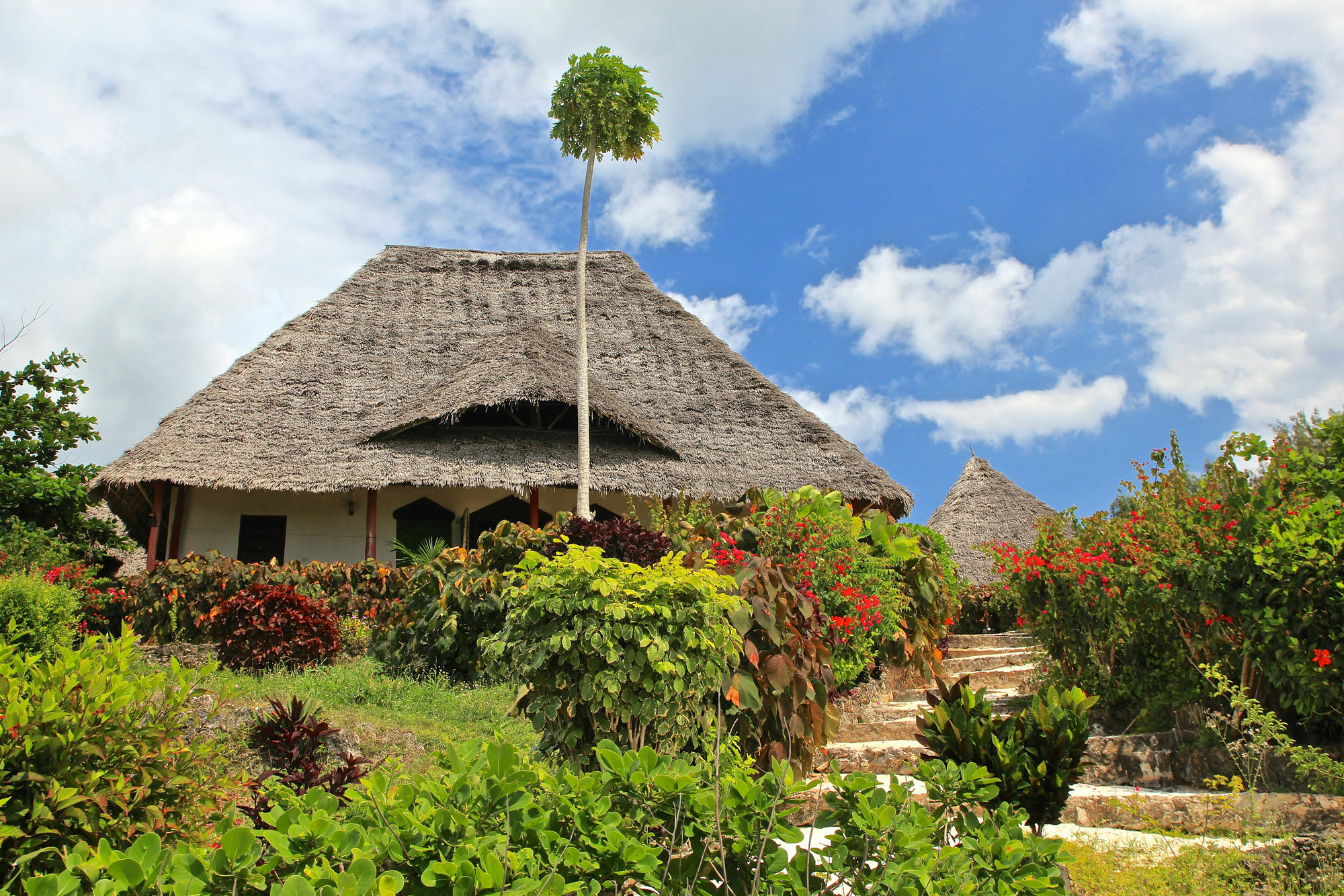 Sazani Beach Lodge And Tidal Lounge Nungwi Exteriör bild